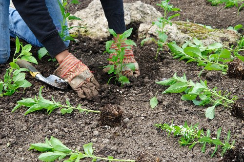 Accessible form being completed on a tablet outdoors near a garden