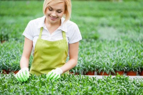 Training session with gardeners learning equipment use