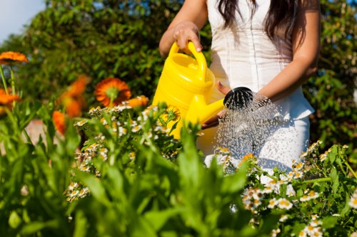 Gardener pruning hedges in a suburban Carshalton property